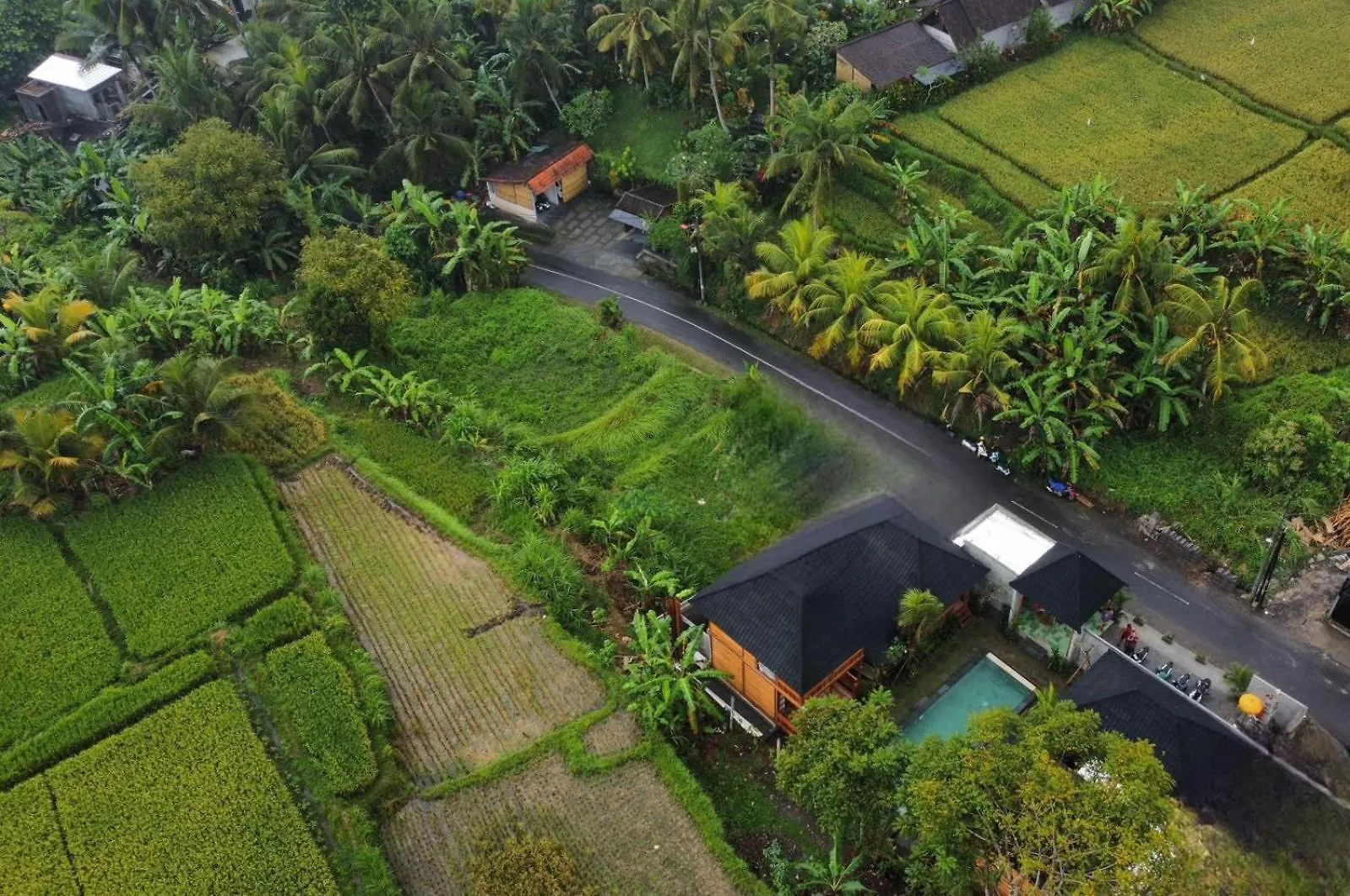Harmony Wooden Villas Ubud